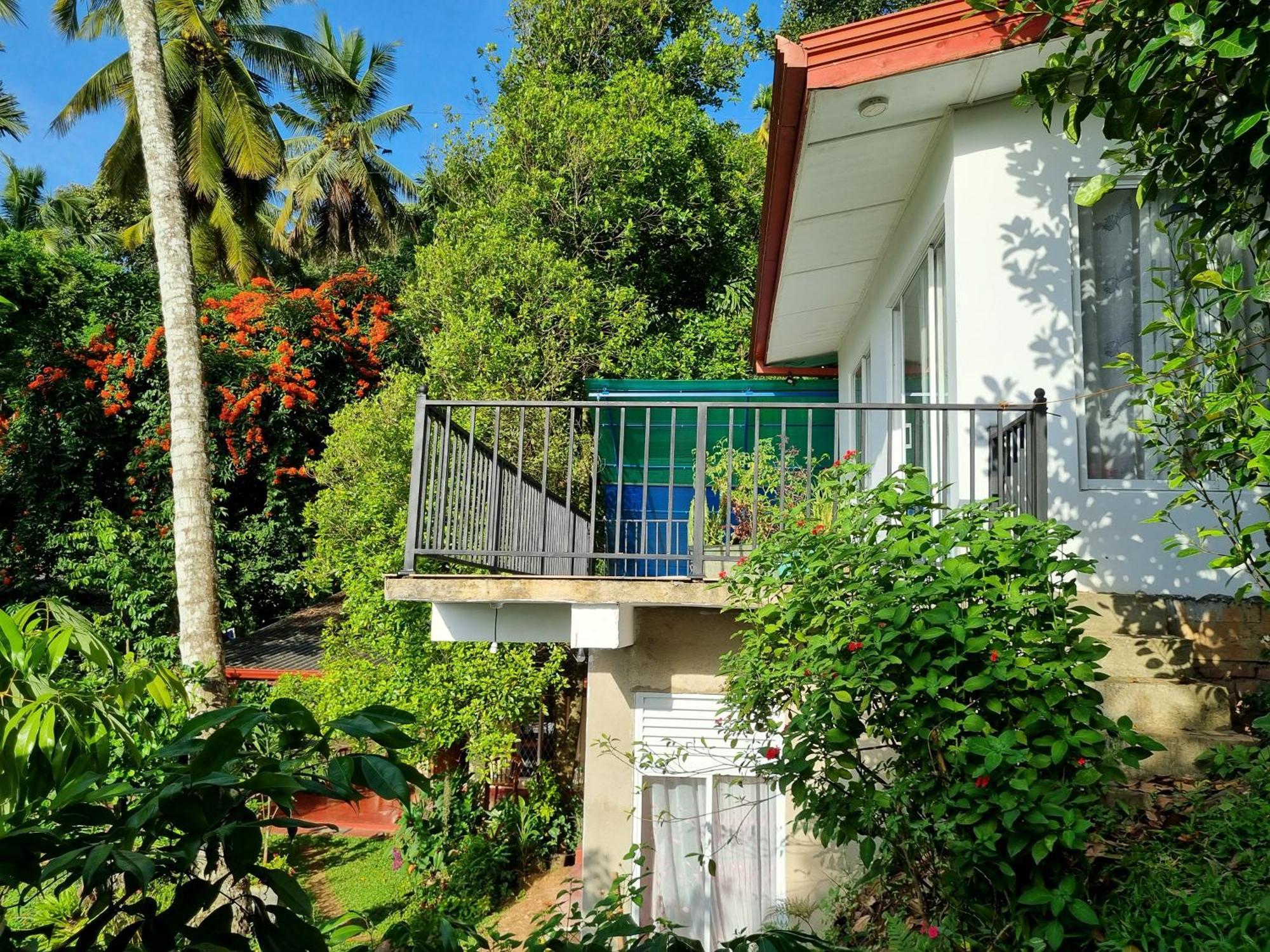 Hotel Squirrel'S Nest Kandy Exteriér fotografie